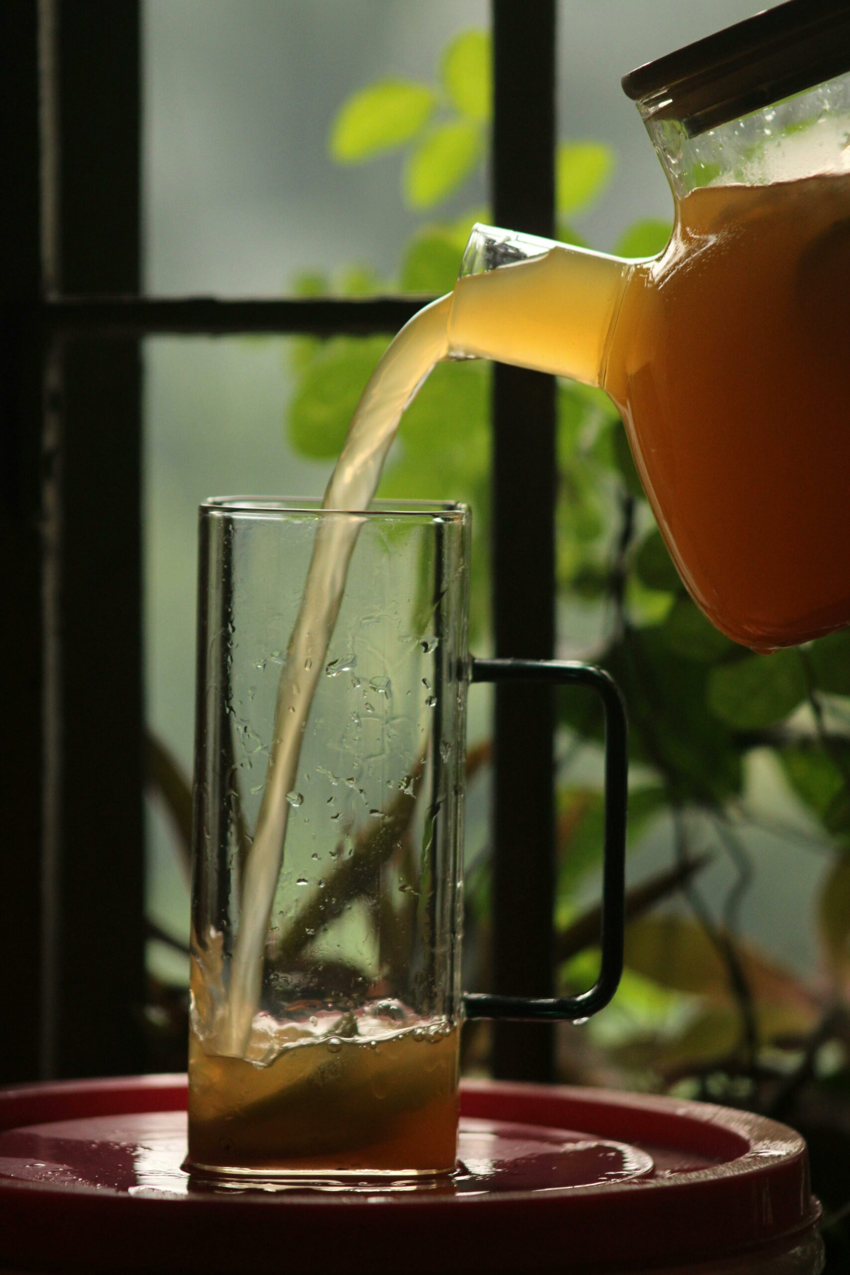Kombucha : la boisson fermentée qui s&rsquo;invite dans nos verres — et dans notre quotidien.